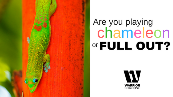 chameleon